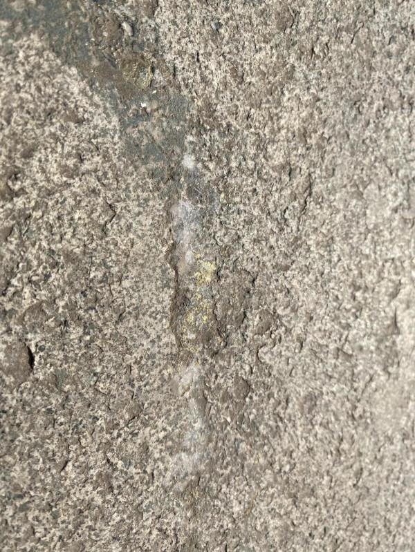 我好像發現了財富