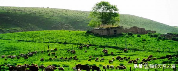 這裡是新疆|全畫幅美景(2) 這裡是新疆|全畫幅美景(2)