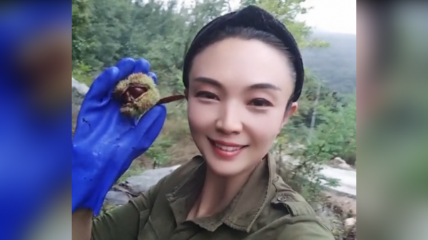 君妹:農村姑娘退伍回老家創業,承包300畝果園一夜爆紅網路 君妹:農村姑娘退伍回老家創業,承包300畝果園一夜爆紅網路