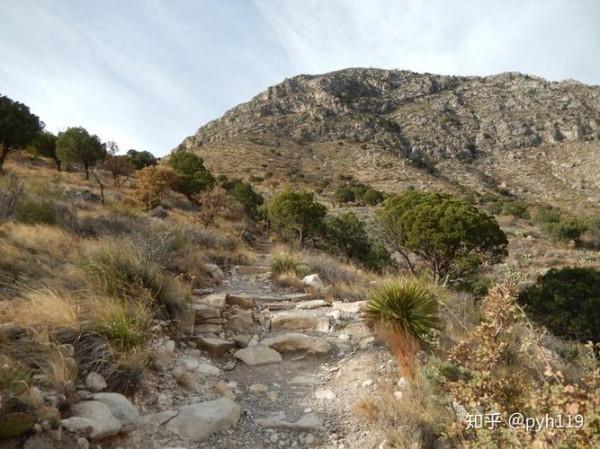 瓜達洛普山國家公園
