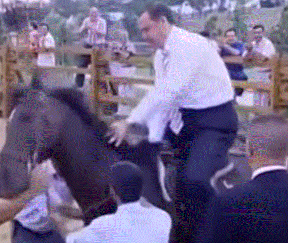 土耳其,悄悄搞了一個大計劃|地球知識局 土耳其,悄悄搞了一個大計劃|地球知識局