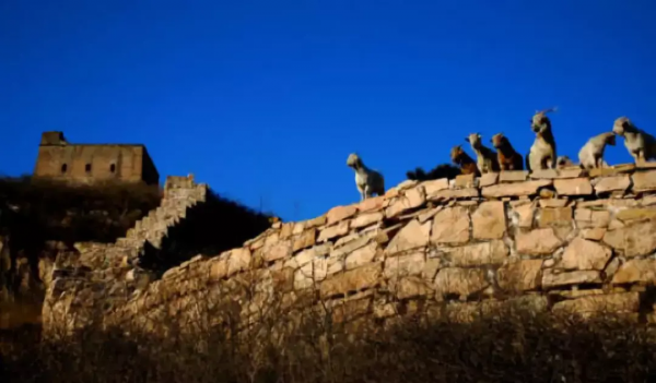 國內最適合窮遊的8個絕美旅行地,只要選好時間,就可以說走就走 國內最適合窮遊的8個絕美旅行地,只要選好時間,就可以說走就走