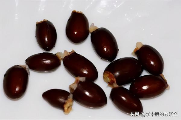 每天學習一味中藥——荔枝核