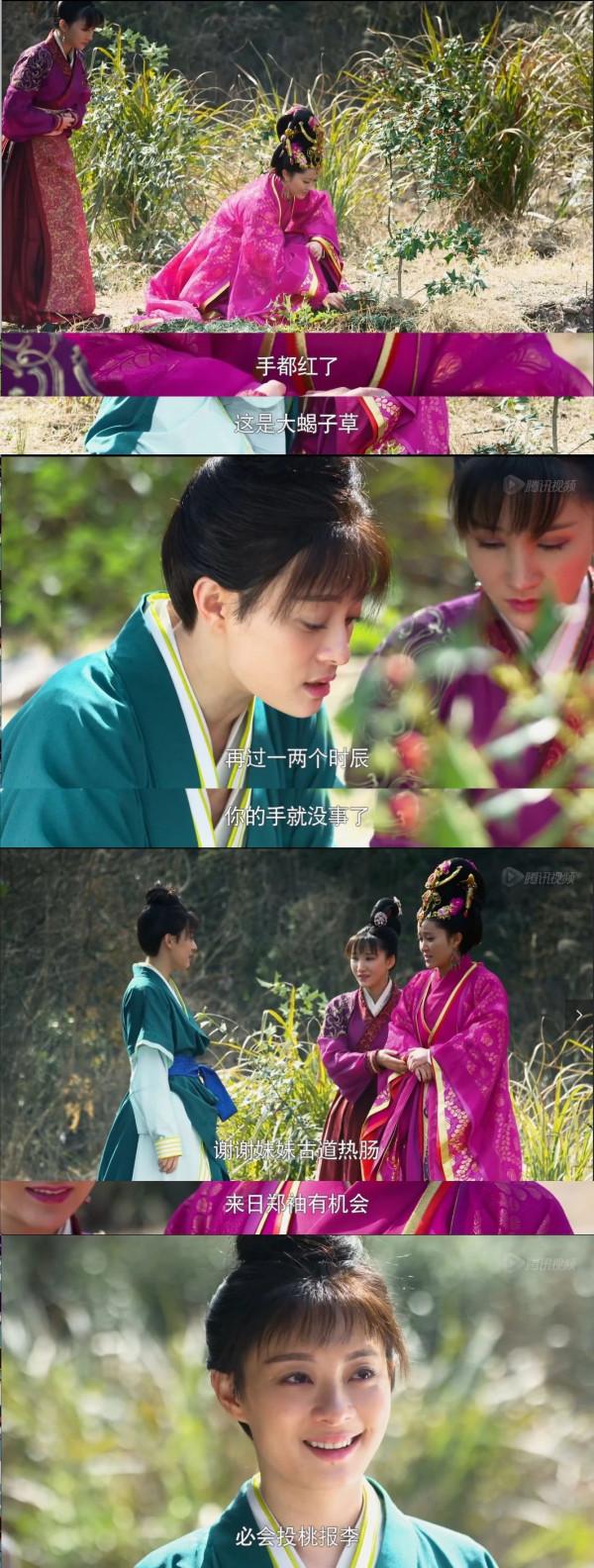 重溫《羋月傳》：我從南後鄭袖身上看到了“真實”二字