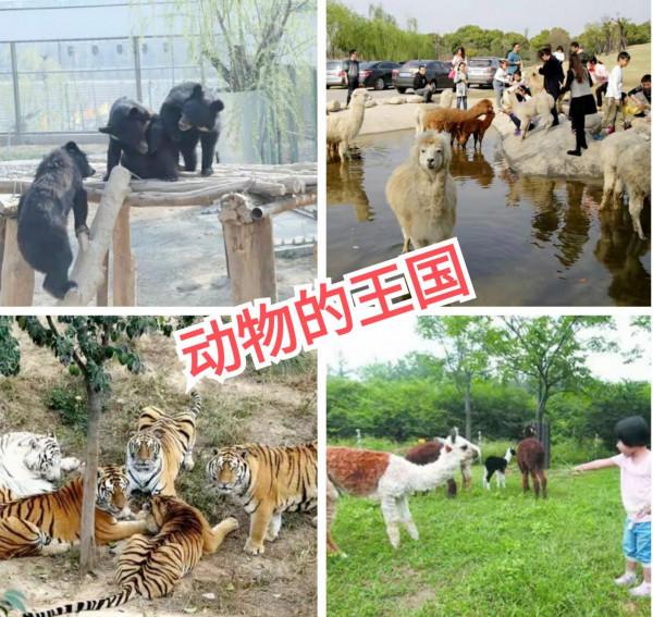 一個隱藏在嵩山腳下的古村落、迄今600多年終被人們發現!袁橋村 一個隱藏在嵩山腳下的古村落、迄今600多年終被人們發現!袁橋村