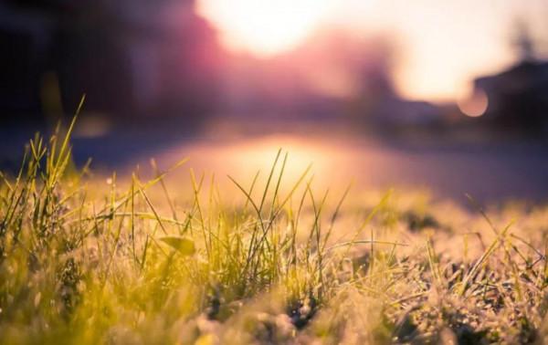 《增廣賢文》中關於調節心態的9句話