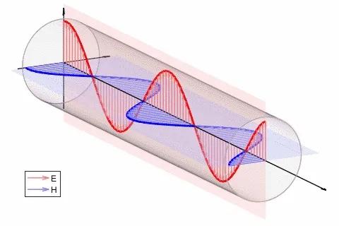 量子的本質與量子相對論