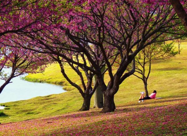 夜讀 | 一個人格局越來越大的5個跡象