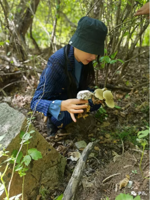 紅傘傘白杆杆，吃完一起躺闆闆：戰鬥民族也愛吃毒蘑菇？