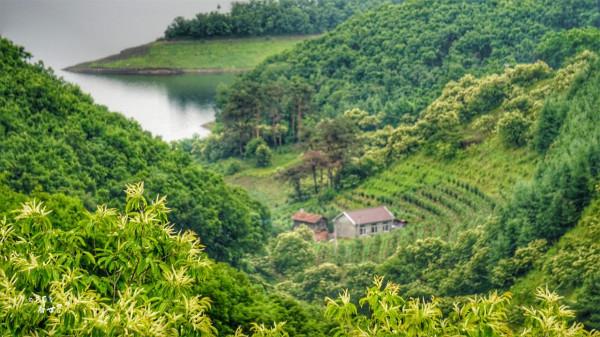 丹東綠江村是鴨綠江畔的秘境,攝影師蜂擁而至,去的路上就美翻了 丹東綠江村是鴨綠江畔的秘境,攝影師蜂擁而至,去的路上就美翻了