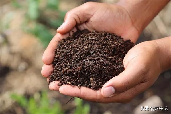 3年財務造假231億，堪稱第二個樂視，7名高管被罰605萬自食惡果