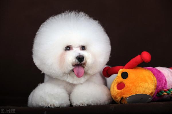 十大最萌動物盤點！看看有咱中國的幾個？