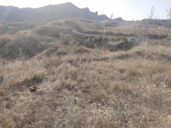 魯家峪的故事(2021－877)