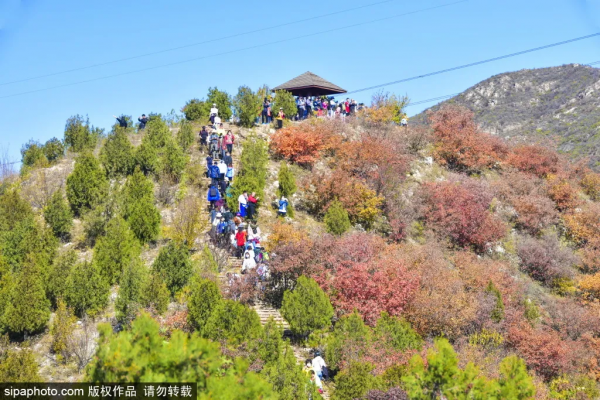 最新實拍!北京這裡紅葉美翻了!關鍵人少還免費,快來打卡 最新實拍!北京這裡紅葉美翻了!關鍵人少還免費,快來打卡