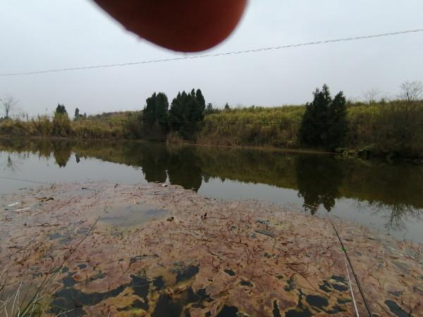 村裡小草塘也能爆桶？一起來看看