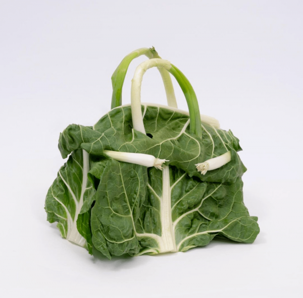 蔬菜水果做成的愛馬仕鉑金包，Birkin秒變小清新