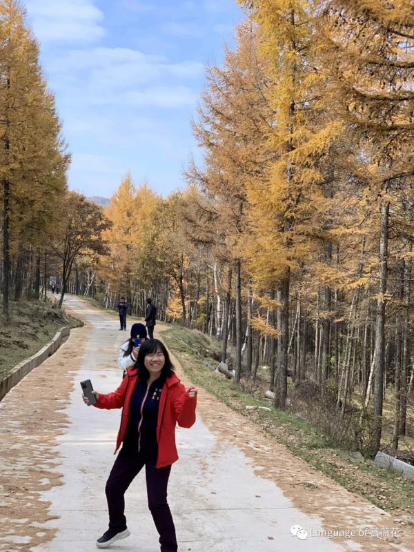 強衛華：霜降看秋