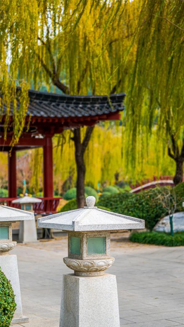 華清宮的初冬美景，驚豔了誰的時光？