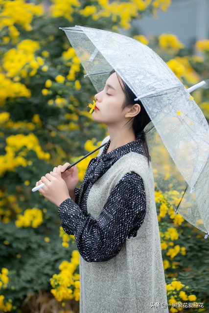 6種北方不適合養的花卉，環境、技術不到位容易死