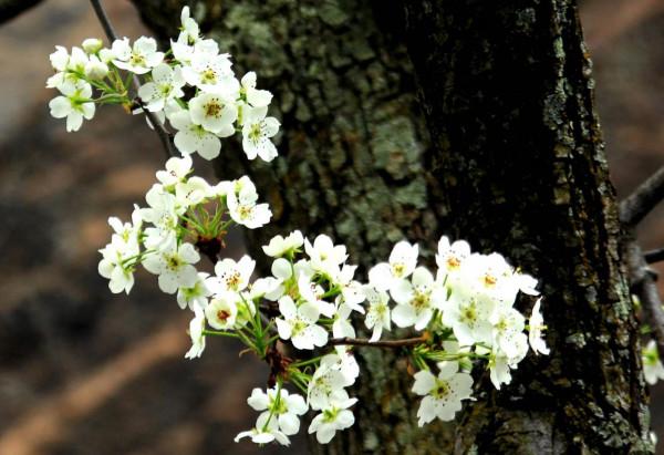旅行帶來了什麼？