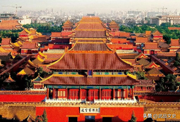 一寸楠木一寸金，既然金絲楠木如此珍貴，那麼為何沒人去種植？