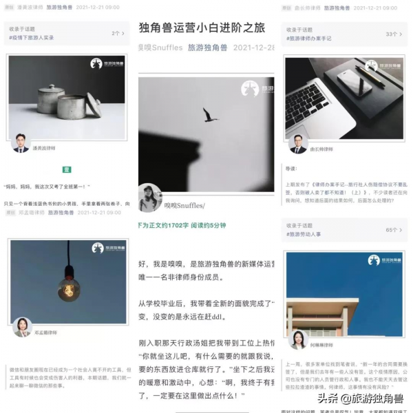 旅遊獨角獸運營小白的這一年 旅遊獨角獸運營小白的這一年