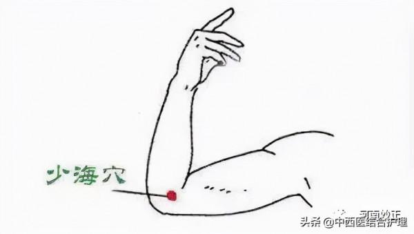 「穴位小課堂」改善乳腺結節、甲狀腺結節熱灸膏貼敷的六大穴位