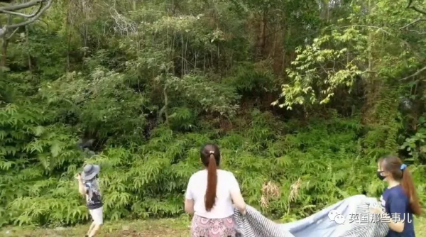 小奶狗被野猴&quot;綁架&quot;，在樹上餓了整整3天終於得救