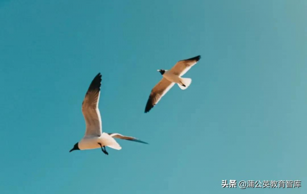 走向“學習型家庭”的11個“行動口令”