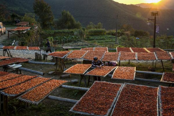 這才是11月最推薦去的景點，秋色正美還小眾，適合閒居兩三日