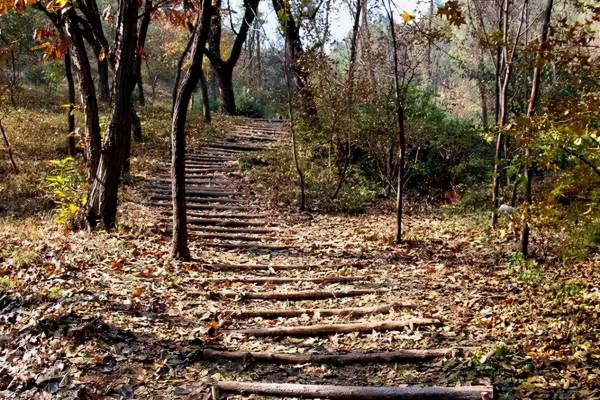 這個太行山餘脈進入京城的最後一道山樑，雪後有意想不到的美