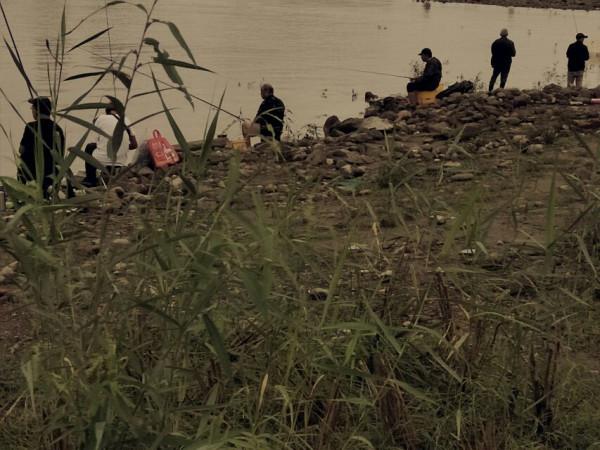 鵝公巖大橋下面:釣魚者的天堂 鵝公巖大橋下面:釣魚者的天堂