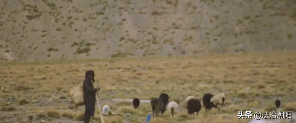 看完我愛上了「第一書記」