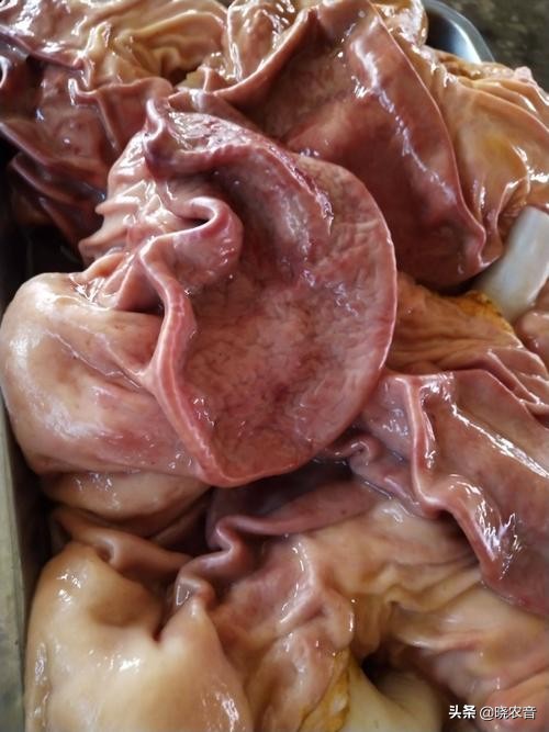 下水怎麼煮？煮豬下水的配方秘方是什麼？