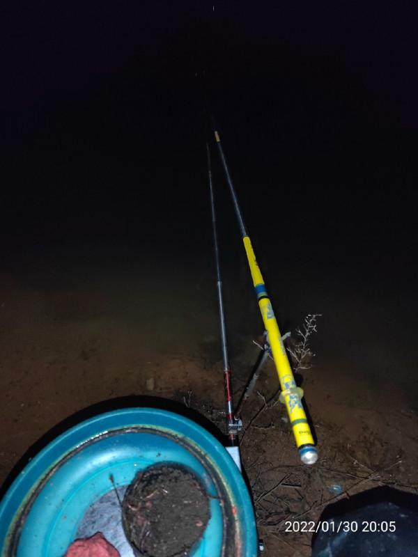 陪伴魚兒看煙花，期待新年的鐘聲