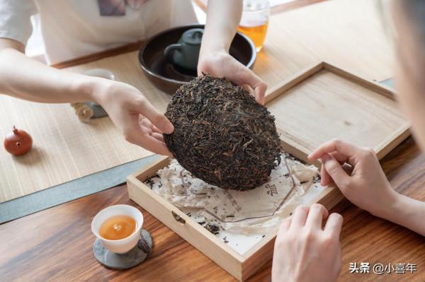 日常喝茶出現的10大“雷區”，你踩過嗎？