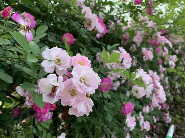 一年四季，這些“絕美”的瞬間你見到了嗎？