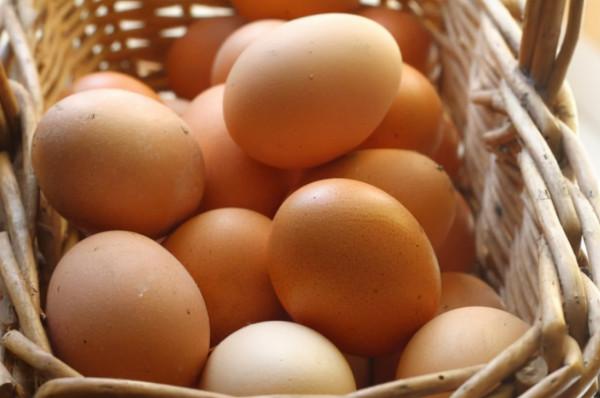 藥補不如食補，想要補充蛋白質，以下四種食物可適量多吃