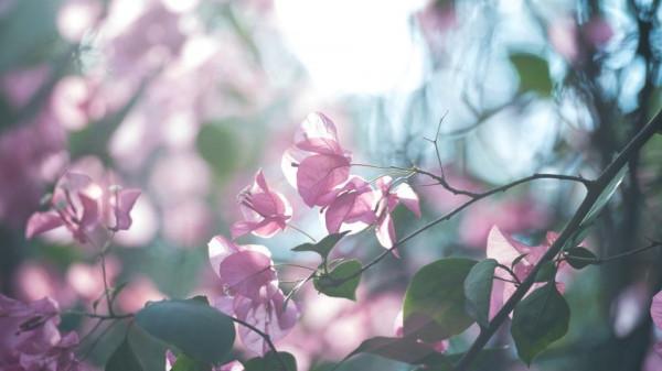 人老了，要學會“低配生活”，否則容易招惹麻煩