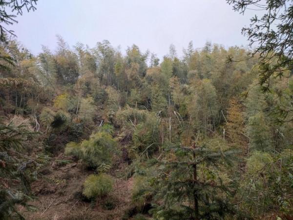 登望雲山有感