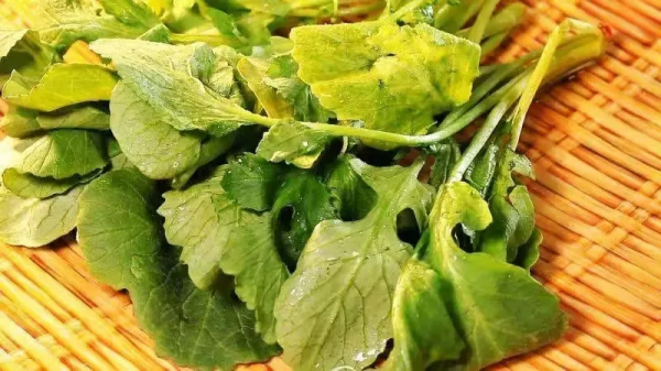 4種食物鈣含量比牛奶還高!3個“黃金搭配法”,把鈣“鎖”進骨骼 4種食物鈣含量比牛奶還高!3個“黃金搭配法”,把鈣“鎖”進骨骼