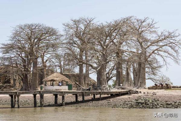 昆塔金特 非洲奴隸貿易的中心島嶼 小國甘比亞揭露了人性 給人以啟示