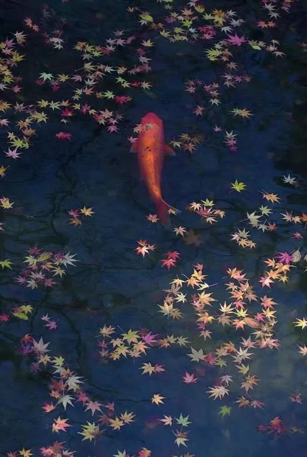 花鏡隨筆｜2022年的第一天