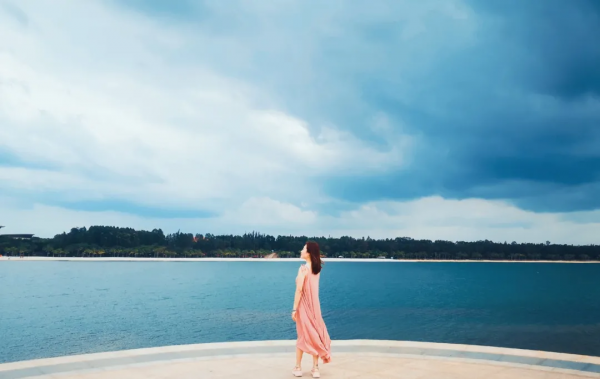 強者定律:金蟬定律,螞蟻定律,牛蠅定律,毛毛蟲定律,野馬定律 強者定律:金蟬定律,螞蟻定律,牛蠅定律,毛毛蟲定律,野馬定律