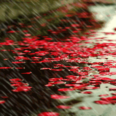 賞讀:秋雨,秋思,秋緒 賞讀:秋雨,秋思,秋緒