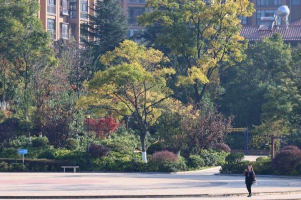 馬龍:五彩斑斕的冬天顏色 馬龍:五彩斑斕的冬天顏色