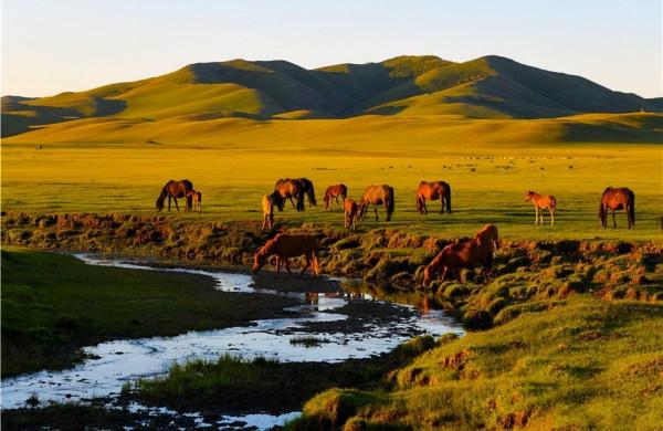 這才是11月最推薦去的景點，秋色正美還小眾，適合閒居兩三日