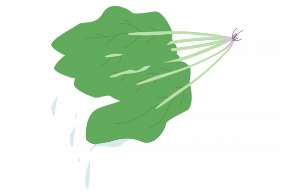 輔食食譜丨寶寶補鐵輔食這樣吃,媽媽趕緊點選收藏 輔食食譜丨寶寶補鐵輔食這樣吃,媽媽趕緊點選收藏