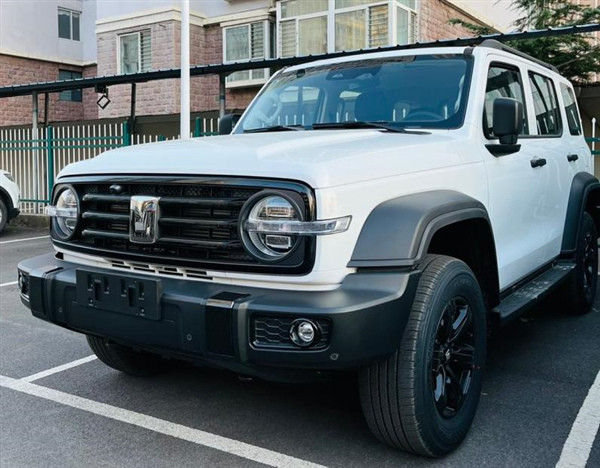 11月首批車企銷量：紅旗、雪鐵龍飄紅，坦克300交付近萬