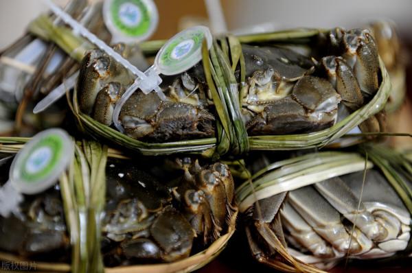 大閘蟹成“大閘洩”，旺季遇冷賣不動，咋了？網友：販子惹的禍